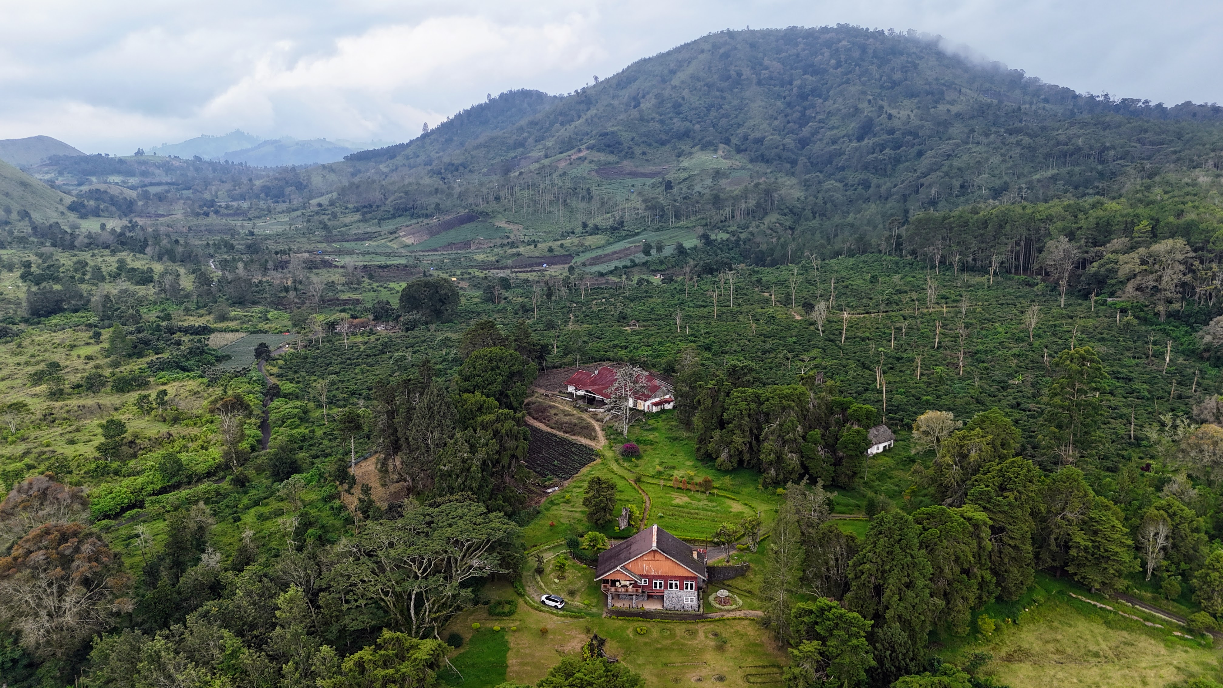 Banyuwangi: Ijen Blue Fire & Java's Wild East